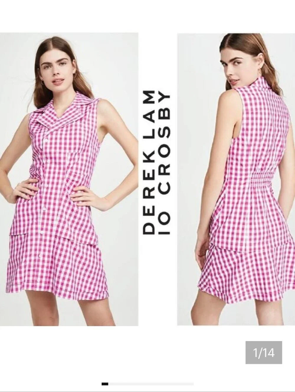 10 Crosby Derek Lam Pink Gingham Sleeveless A-Line Dress